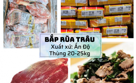 Bắp Rùa Trâu Ấn Độ